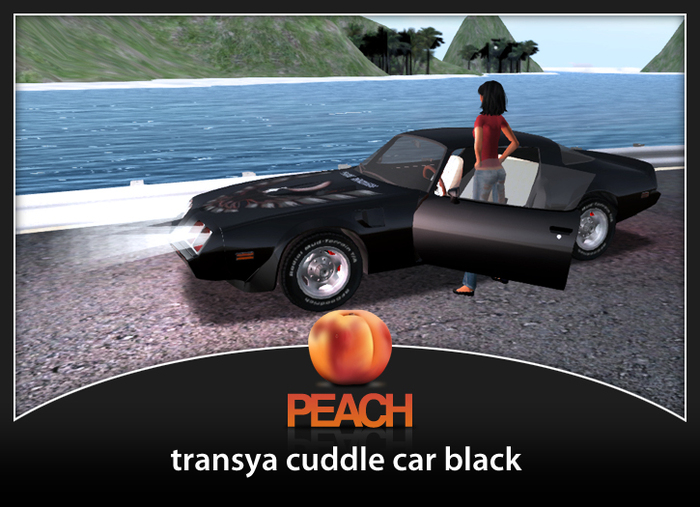 Peach transya cuddle car black 