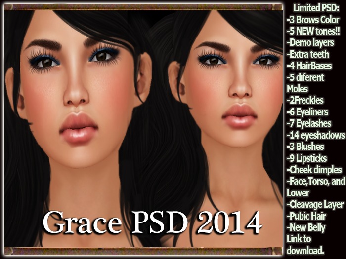 Grace PSD 2014-DEMO