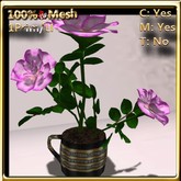 LW_ Rose Bush in Coffee Cup _ Soft Pink