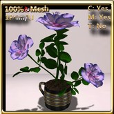 LW_ Rose Bush in Coffee Cup _ Slate Blue