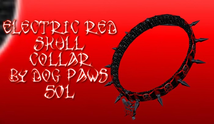 Skull Collar By Dog Paws