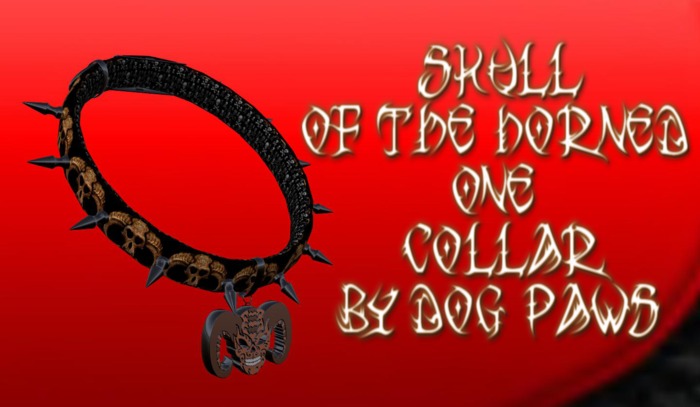 Skull Collar By Dog Paws