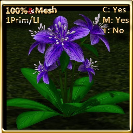 LW_ Ground Lily _ Purple