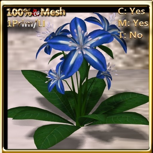 LW_ Lily Plant - Blue