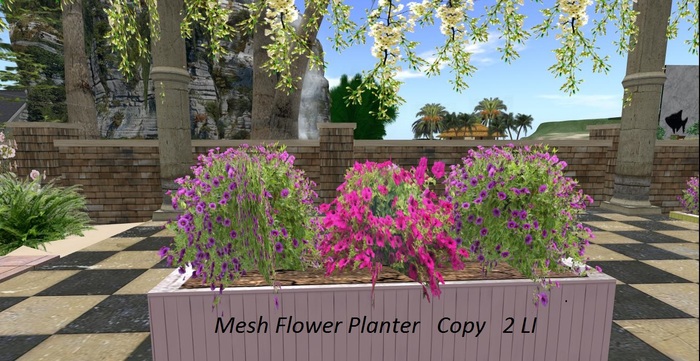 Pink magic Baptisia with butterflies (Boxed)