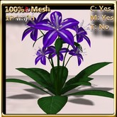 LW_ Lily Plant - Purple