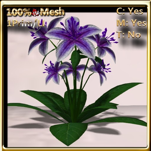 LW_ Lily Plant - Indigo White