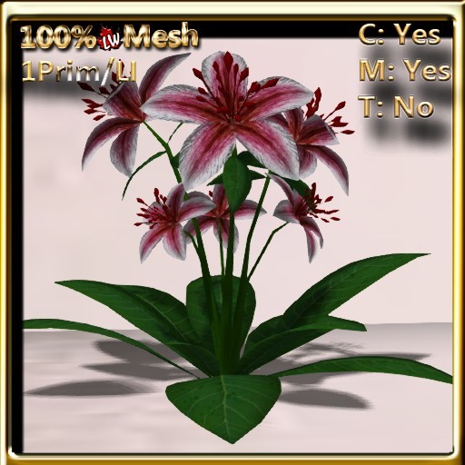LW_ Lily Plant - Maroon