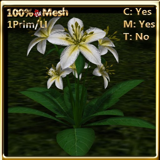 LW_ Lily Plant - Yellow