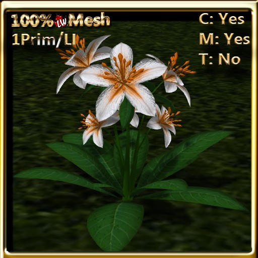 LW_ Lily Plant - Orange and White