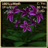 LW_ Lily Plant - Dark Magenta