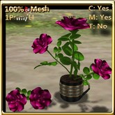 LW_ Roses in Coffee Cup _ Silk Fuchsia