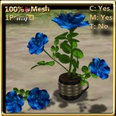 LW_ Roses in Coffee Cup _ Silk Blue