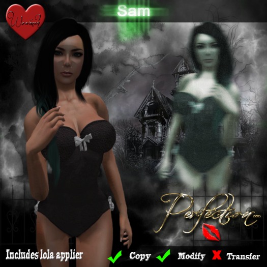 Perfection ~ Sam (Black Leather)