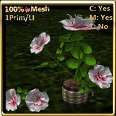 LW_RoseBushVase-White1