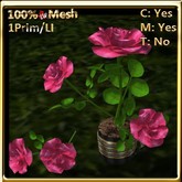 LW_ Roses in Coffee Cup _ Soft Pink