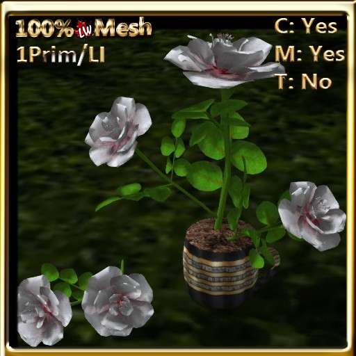 LW_ Roses in Coffee Cup _ White 2