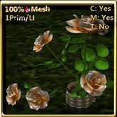 LW_ Roses in Coffee Cup _ Coral