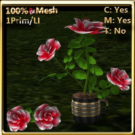 LW_ Roses in Coffee Cup _  Crimson