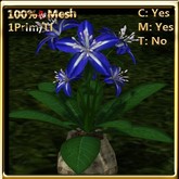 LW_ Lily Plant in Pot - Blue (1LI / Prim)