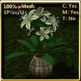 LW_ Lily Plant in Pot - Lime Green (1LI / Prim)