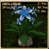 LW_ Lily Plant in Pot - Royal Blue (1LI / Prim)
