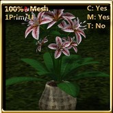 LW_ Lily Plant in Pot - White Mix (1LI / Prim)