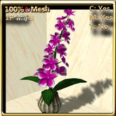 LW_ Plumeria Plant in Pot - Deep Pink (1 LI / Prim)