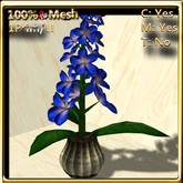 LW_ Plumeria Plant in Pot -  Dark Blue (1 LI / Prim)