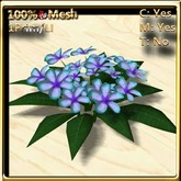 LW_ Plumeria Plant Mesh - Light Blue Purple (1 LI / Prim)