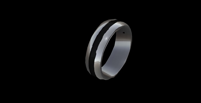 silver and onyx band