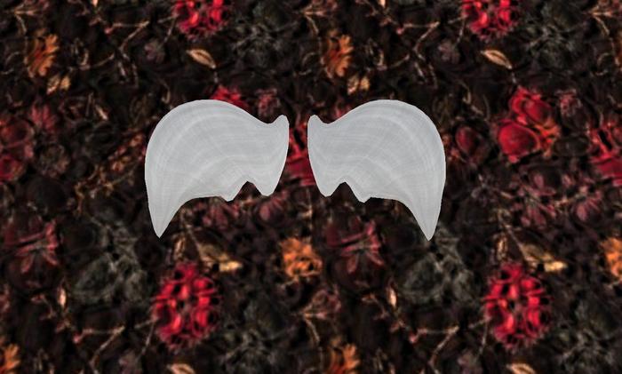 Levigated Wings
