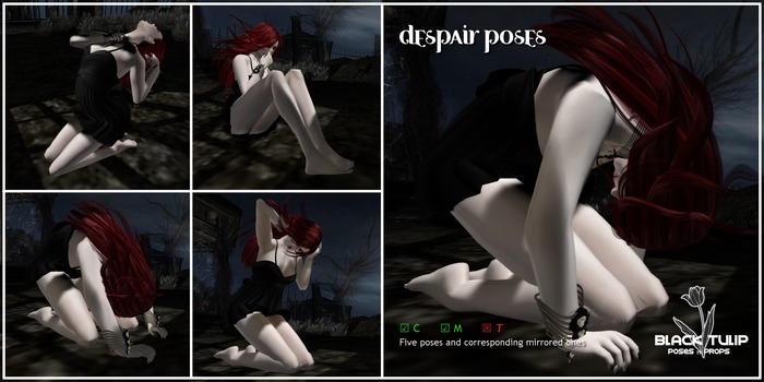 [Black Tulip] Despair