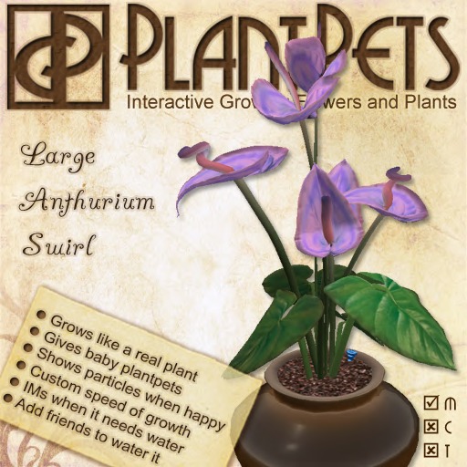 PlantPet Seed [Hyacinth *Jan Bos*]
