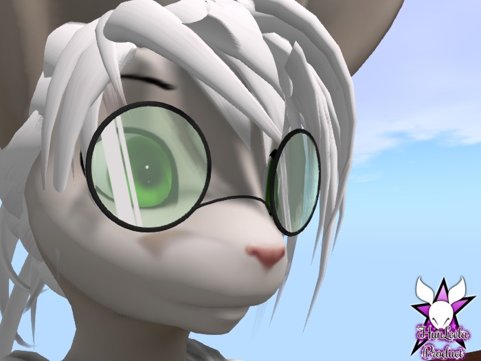Bunny Glasses Round