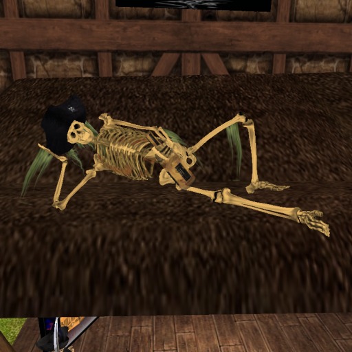 PIRATE SKELETON - Drunk Again! (Boxed)