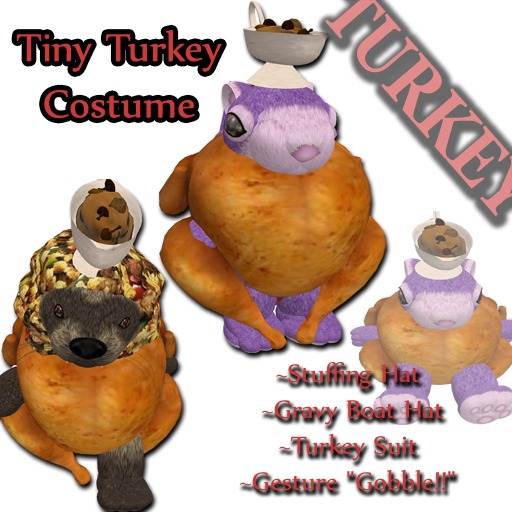 Tiny TURKEY costume boxed