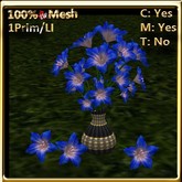 LW_Open Japanese Balloon Flowers Blue (1 LI / Prim)