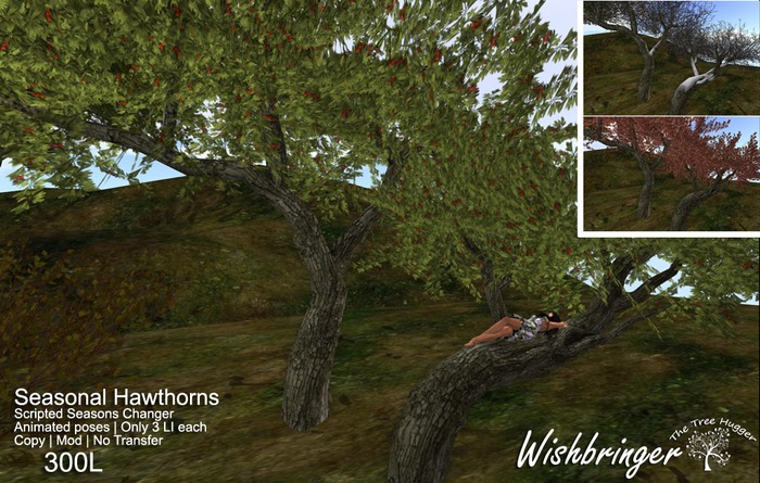 {WB} Tree Hugger Hawthorns package
