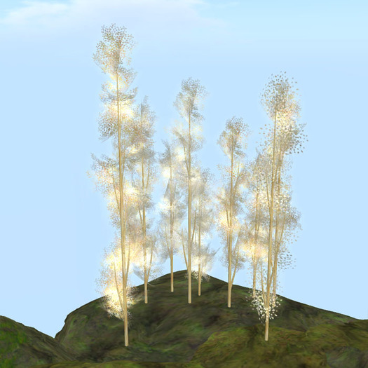 caelum_blue