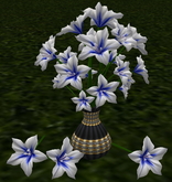 LW_Open Japanese Balloon Flowers Blue White (1 LI / Prim)