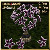 LW_JapaneseBallonFlowersWhite