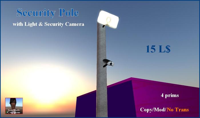 Security Pole Cam/Light