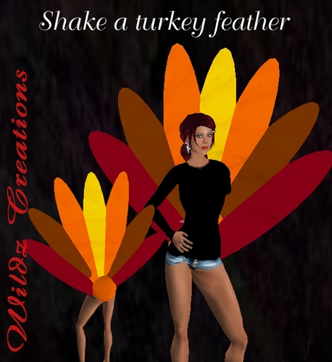 Shake a turkey tail
