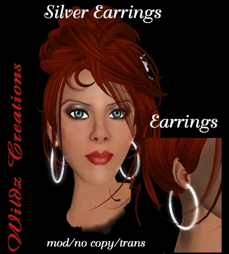 Silver hoops Earrings