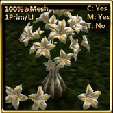 LW_Open Japanese Balloon Flowers Soft Yellow (1 LI / Prim)