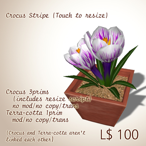 Crocus - stripe (Touch to resize)    4 prims
