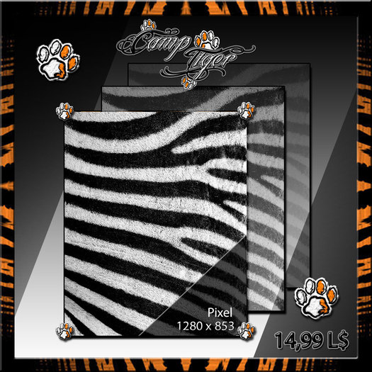[CT]-Picture-*Texture Zebra*-by [CT]