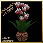 LW_ Tulips in Vase - Soft Red (1 LI / Prim)