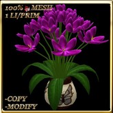 LW_ Tulips in Pot - Fuchsia (1 LI / Prim)